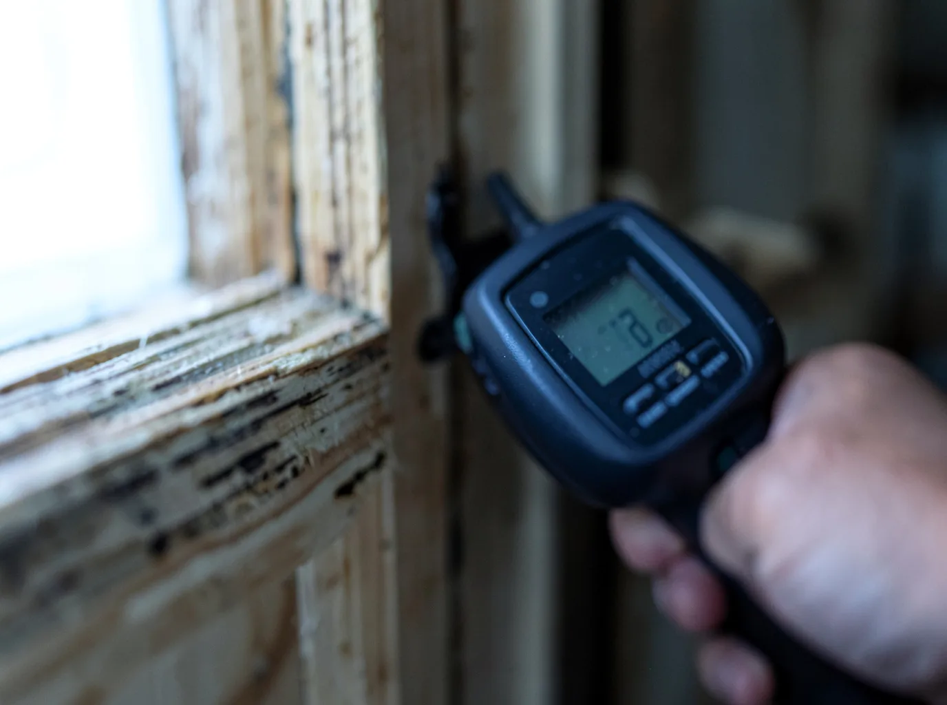 Moisture Inspection And Documentation in Clayton, DE